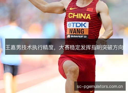 王嘉男技术执行精度，大赛稳定发挥指明突破方向